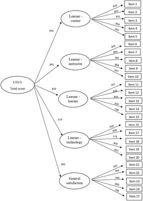 Assessing Satisfaction With Online Courses: Spanish Version of the Learner Satisfaction Survey